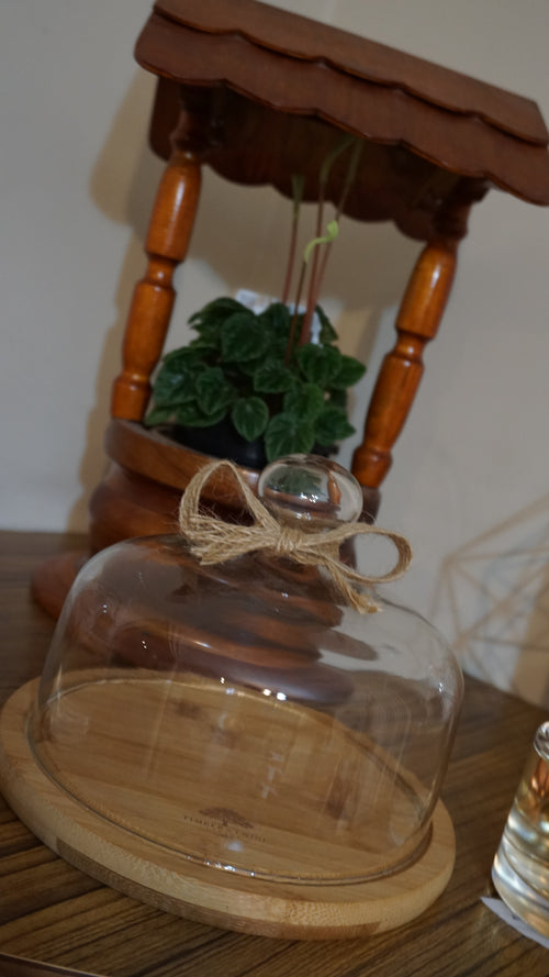 Cheese Board with Glass Dome