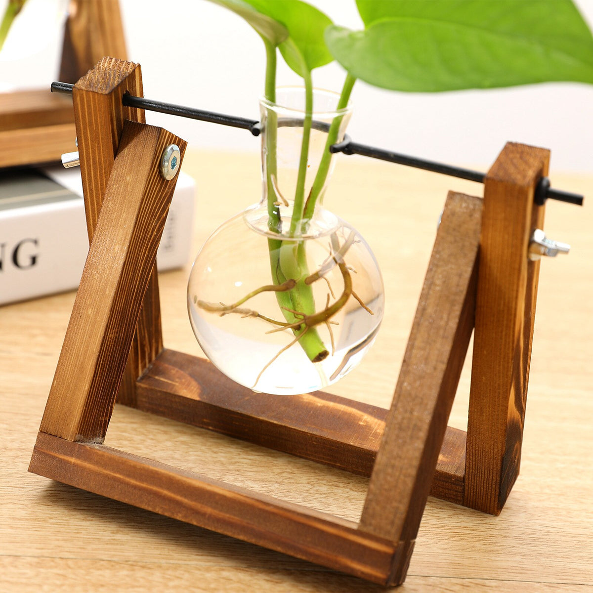 Hydroponic Propagation Glass