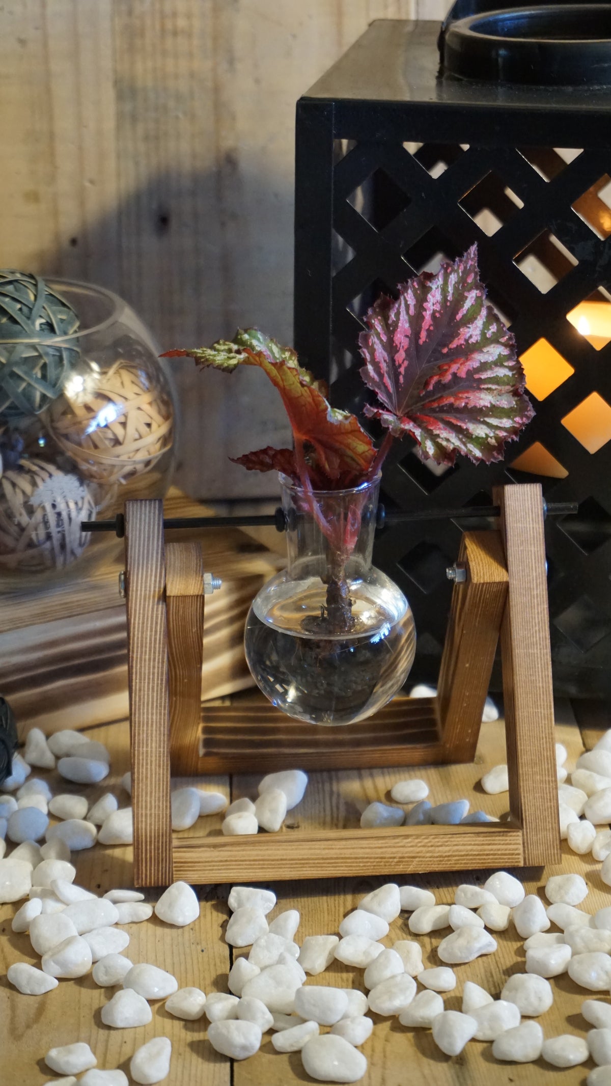 Hydroponic Propagation Glass